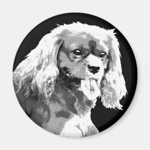 Imã Ímã descuidado do spaniel de rei Charles