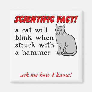 Imã Ímã Divertido Martelo de Gato Humor