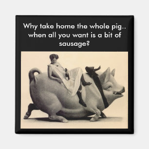 Imã Ímã - divertimento porque neto o porco inteiro -