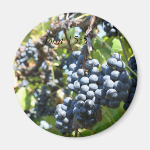 Imã Ímã do 15:5 de John do vinhedo das uvas