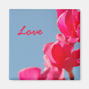 Imã Ímã do amor