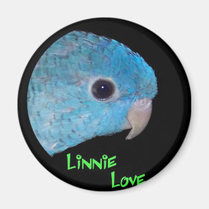 Imã Ímã do amor de Linnie