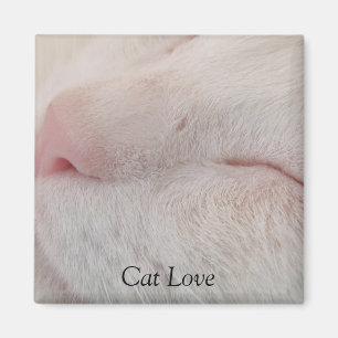 Imã Ímã do amor do gato