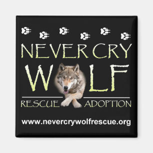 Imã Ímã do benefício de NCWR&A