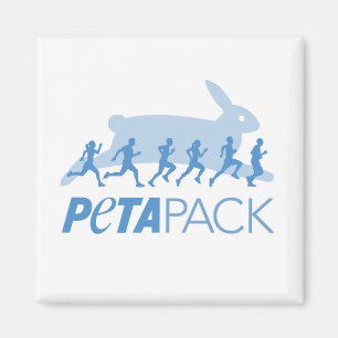 Imã Ímã do bloco de PETA