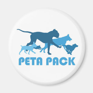 Imã Ímã do bloco de PETA