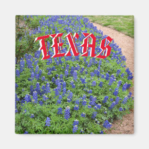 Imã Ímã do bluebonnet de Texas