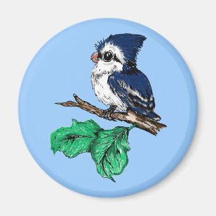 Imã Ímã do Bluejay do bebê