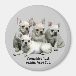 Imã Ímã do buldogue francês