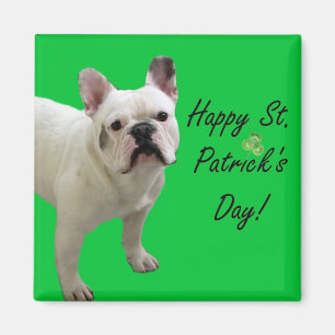 Imã Ímã do buldogue francês do dia de St Patrick fe