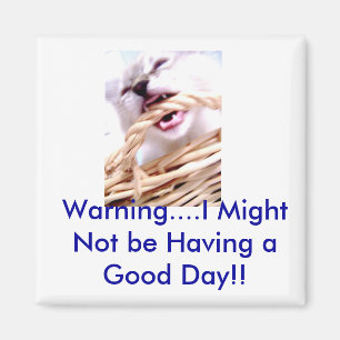 Imã ímã do cacifo