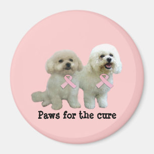Imã Ímã do cancro da mama de Bichon