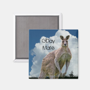 Imã Ímã do canguru