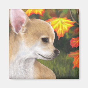 Imã Ímã do cão 84