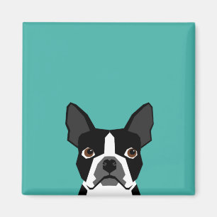 Imã Ímã do cão de Boston Terrier