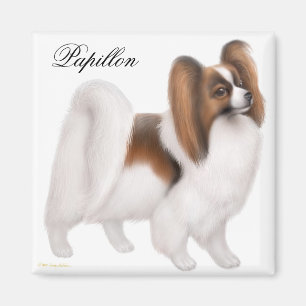 Imã Ímã do cão de Papillon