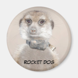 Imã Ímã do cão de Rocket