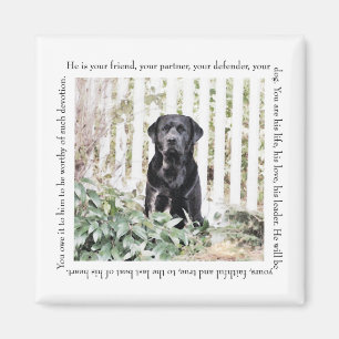 Imã Ímã do cão do jardim