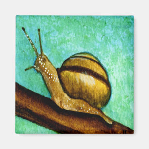 Imã Ímã do caracol 1