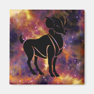 Imã ímã do carneiro