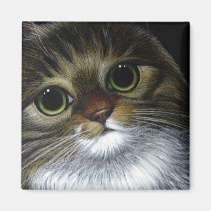 Imã Ímã do CAT de RACUM de MAINE
