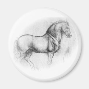 Imã Ímã do cavalo de Leonardo da Vinci