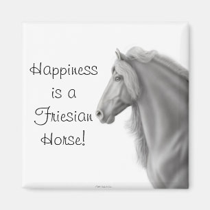 Imã Ímã do cavalo do frisão