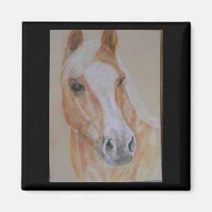 Imã ímã do cavalo do palomino