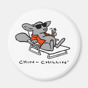Imã ímã do chinchillin