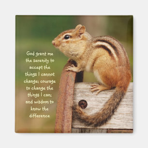 Imã Ímã do Chipmunk da oração da serenidade