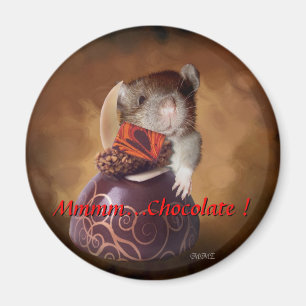 Imã … Ímã do chocolate Mmmm