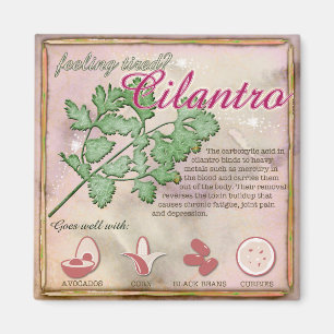 Imã Ímã do Cilantro