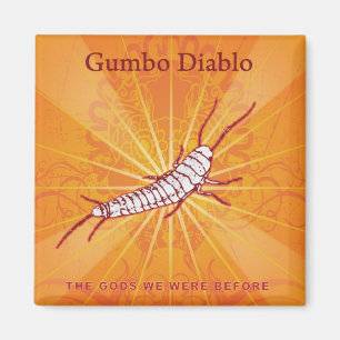 Imã Ímã do cobrir do álbum