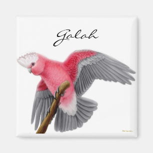 Imã Ímã do Cockatoo de Galah