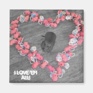 Imã Ímã do coração do cão de Weiner