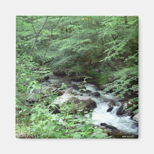 Imã Ímã do córrego de Great Smoky Mountains