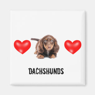 Imã Ímã do Dachshund