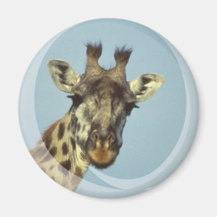 Imã Ímã do design do girafa