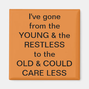 Imã Ímã do divertimento de Frig