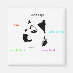 Imã Ímã do Doge