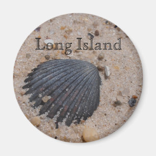 Imã Ímã do escudo de Scallop de Long Island