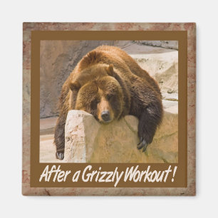 Imã Ímã do exercício do urso