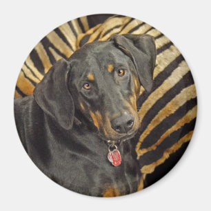 Imã Ímã do filhote de cachorro da libra do Doberman