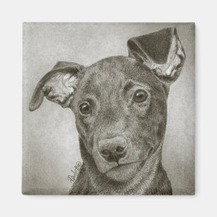 Imã Ímã do filhote de cachorro do galgo - "Waffle "