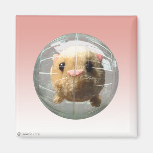 Imã Ímã do funileiro