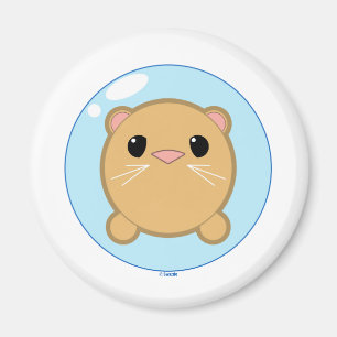 Imã Ímã do funileiro