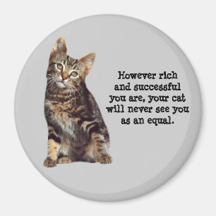 Imã Ímã do gato