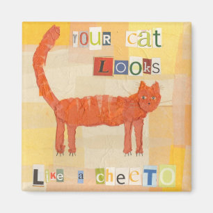 Imã Ímã do gato de Cheeto