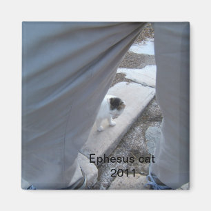 Imã Ímã do gato de Ephesus