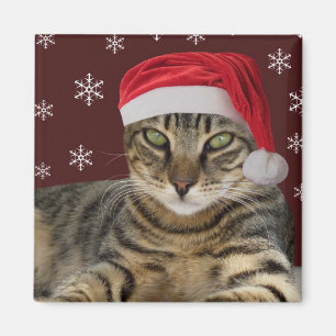 Imã Ímã do gato do papai noel